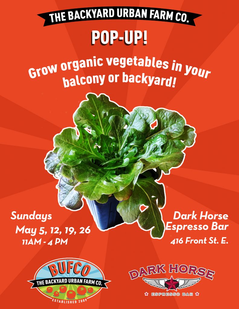 The Backyard Urban Farm Co.