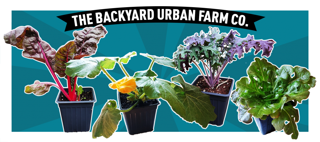 The Backyard Urban Farm Co.