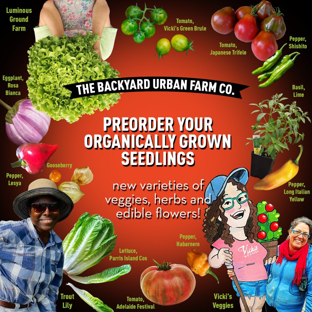 The Backyard Urban Farm Co.